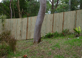 Hardwood Fencing
